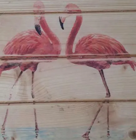 Couette-café Le Flamant Rose